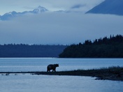 Katmai National Park