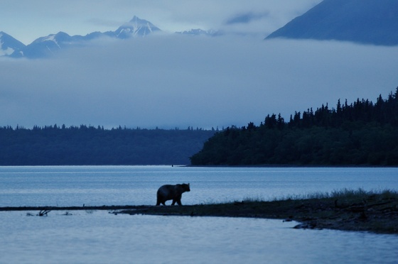 Katmai National Park