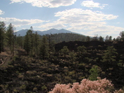Sunset Crater Volcano National Monument