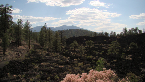 Sunset Crater Volcano National Monument