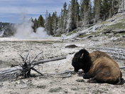 Yellowstone National Park