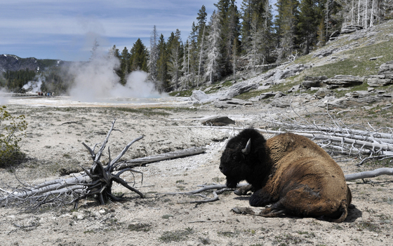 Yellowstone National Park