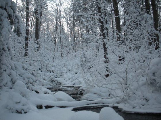 green mountain national forest