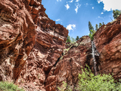 Uncompahgre National Forest