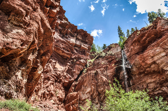 Uncompahgre National Forest