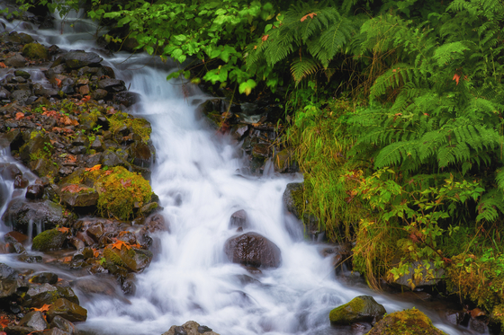 Columbia Gorge 