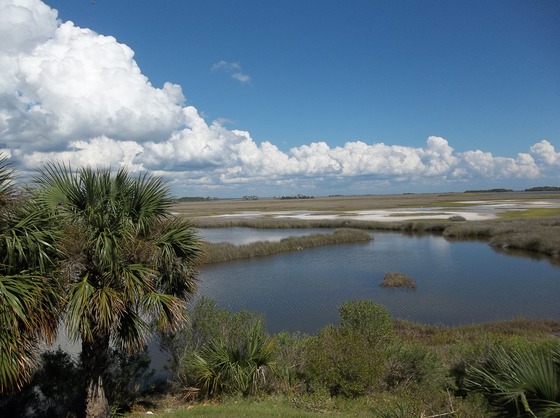 st marks refuge