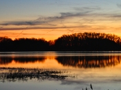 Bombay Hook National Wildlife Refuge
