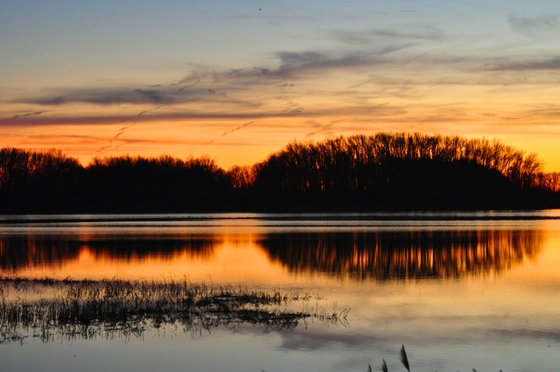Bombay Hook National Wildlife Refuge
