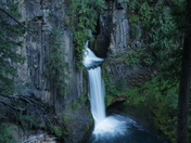 Umpqua National Forest/Fall Creek Waterfalls