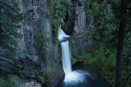 Umpqua National Forest/Fall Creek Waterfalls