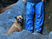 Umpqua National forest/Falls Creek waterfalls