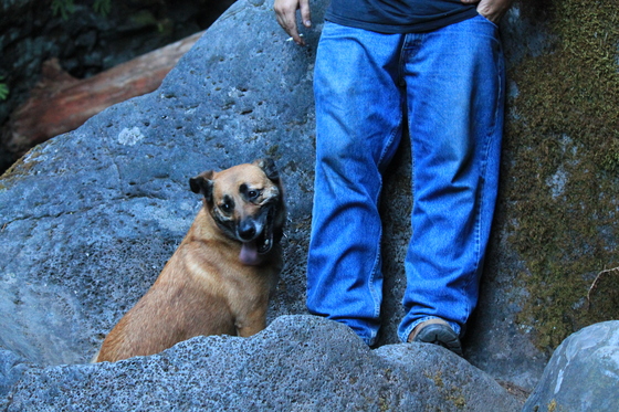Umpqua National forest/Falls Creek waterfalls