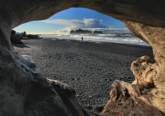 Olympic National Park