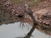 Big Horn Canyon Recreation Area
