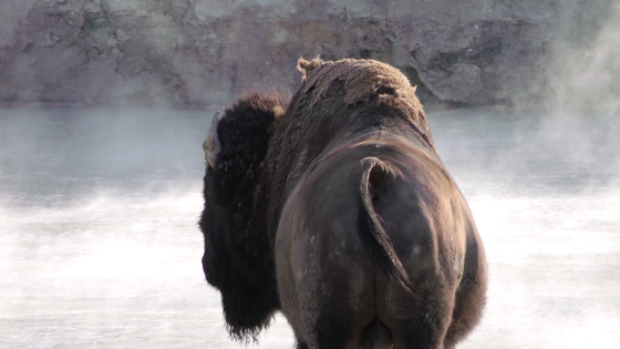 Yellowstone National Park
