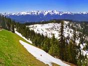 Olympic National Park