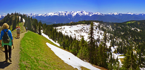 Olympic National Park