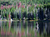 Rocky Mountain National Park