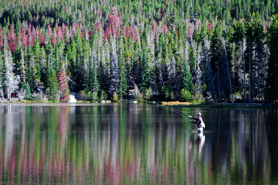 Rocky Mountain National Park