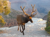 Grand Canyon National Park