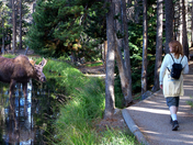 Rocky Mountain National Park