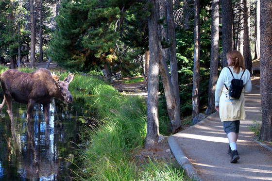 Rocky Mountain National Park