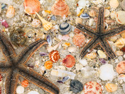 Gulf Islands National Seashore