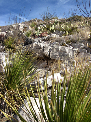 Guadalupe Mountains National Park