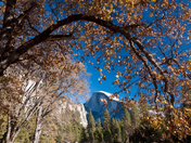 Yosemite National Park.