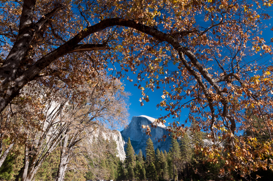 Yosemite National Park.