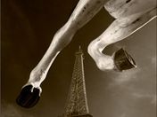 Escape from the Carousel