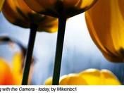 Painting with the Camera