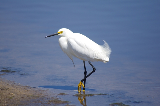 Prime Hook National Wildlife Refuge
