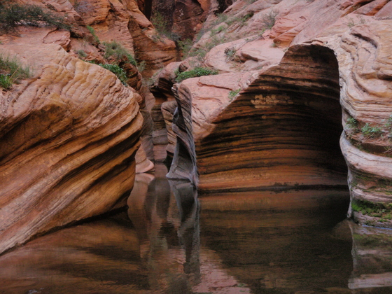 Zion National Park