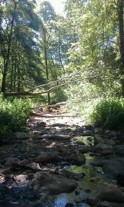 Angeles National Forest
