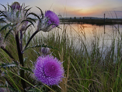 St. Marks National Wildlife Refuge