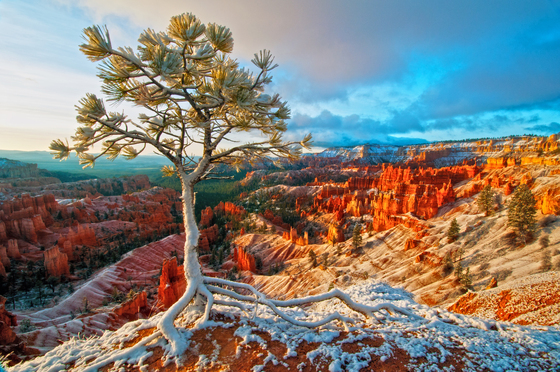 Bryce Canyon National Park
