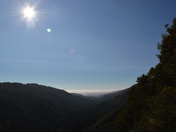 California's Big Sur National Park