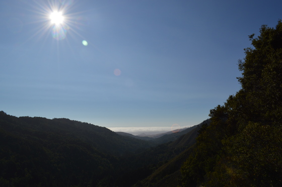 California's Big Sur National Park