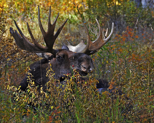 Teton Nation Park