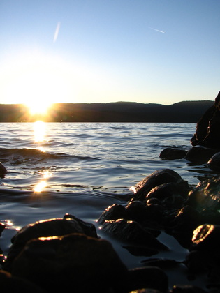 Timothy Lake