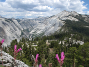 Yosemite National Park