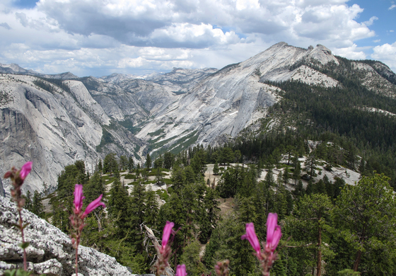Yosemite National Park