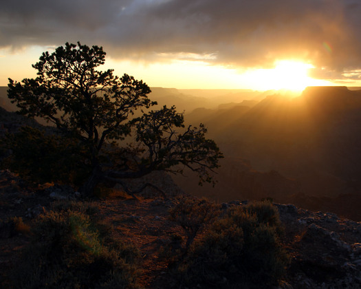 Grand Canyon National Park