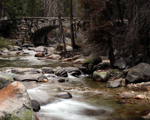 Sequoia National Park