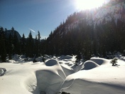 Snoquailmie National Forest