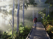 2b. Paradise Meadows