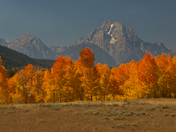 Grand Teton National Park