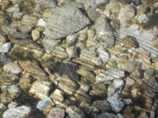 Sawtooth National Forest